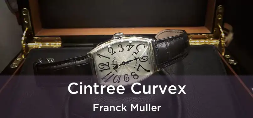  Cintree Curvex Franck Muller