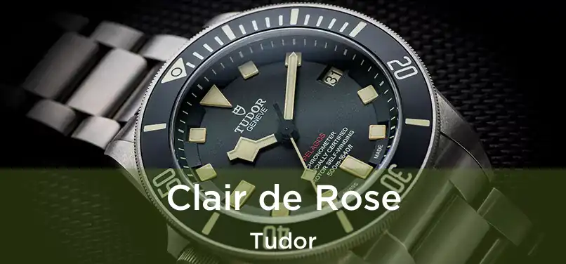  Clair de Rose Tudor