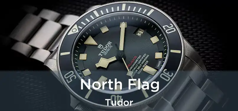 North Flag Tudor