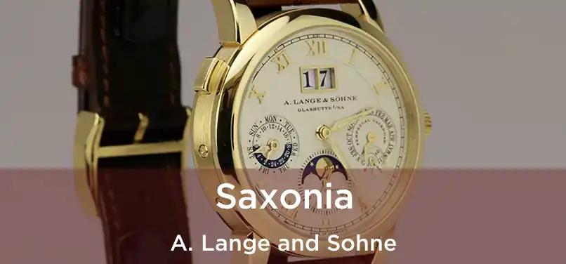  Saxonia A. Lange and Sohne